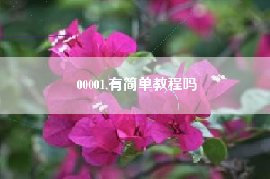 00001,有简单教程吗