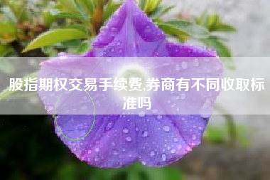 股指期权交易手续费,券商有不同收取标准吗