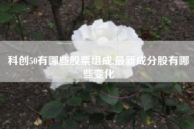 科创50有哪些股票组成,最新成分股有哪些变化