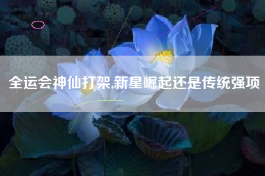 全运会神仙打架,新星崛起还是传统强项