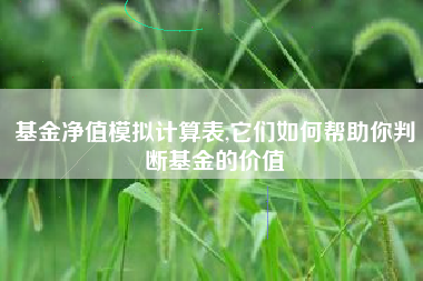基金净值模拟计算表,它们如何帮助你判断基金的价值
