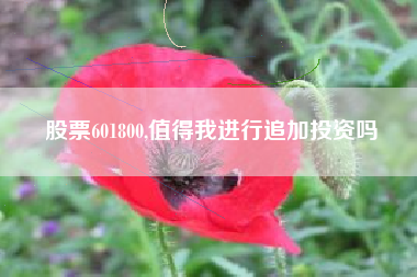 股票601800,值得我进行追加投资吗