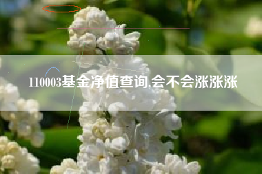 110003基金净值查询,会不会涨涨涨