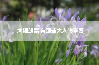 大疆股票,有哪些大人物罩着