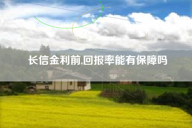 长信金利前,回报率能有保障吗