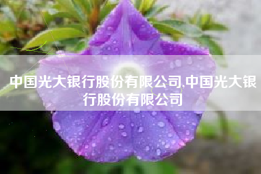 中国光大银行股份有限公司,中国光大银行股份有限公司