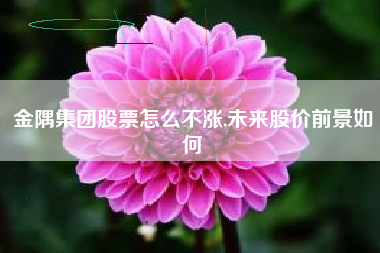 金隅集团股票怎么不涨,未来股价前景如何