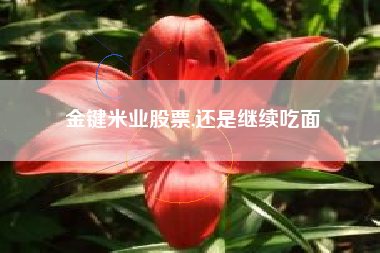 金键米业股票,还是继续吃面