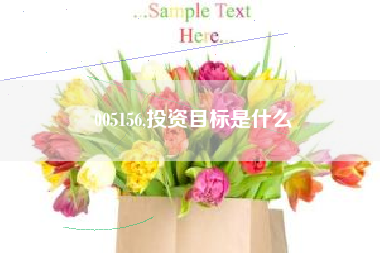 005156,投资目标是什么