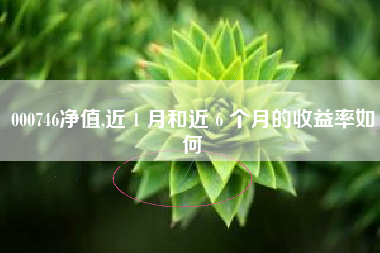 000746净值,近 1 月和近 6 个月的收益率如何
