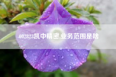 002823凯中精密,业务范围是啥