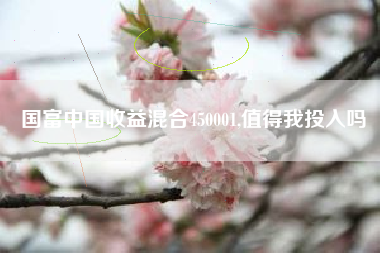 国富中国收益混合450001,值得我投入吗