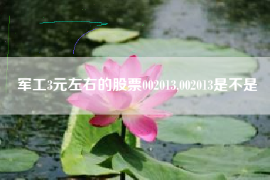 军工3元左右的股票002013,002013是不是