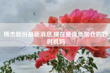 博杰股份最新消息,现在是逢低加仓的好时机吗