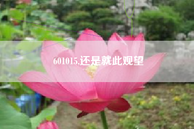 601015,还是就此观望