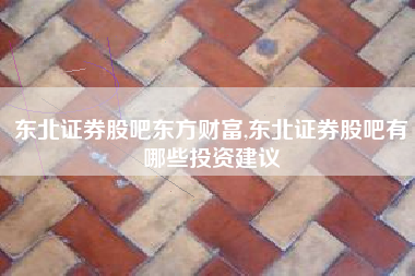 东北证券股吧东方财富,东北证券股吧有哪些投资建议