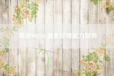 基金003593,基金经理能力如何