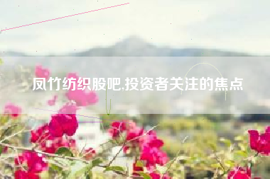 凤竹纺织股吧,投资者关注的焦点