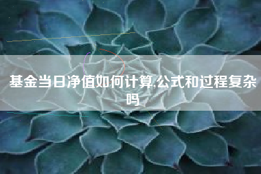 基金当日净值如何计算,公式和过程复杂吗