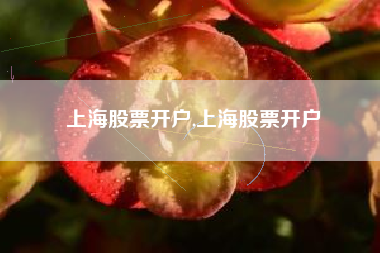 上海股票开户,上海股票开户