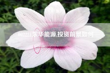 002221东华能源,投资前景如何