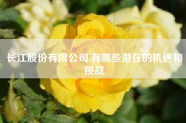 长江股份有限公司,有哪些潜在的机遇和挑战
