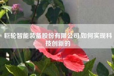 巨轮智能装备股份有限公司,如何实现科技创新的