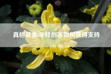 真格基金,年轻创客如何获得支持