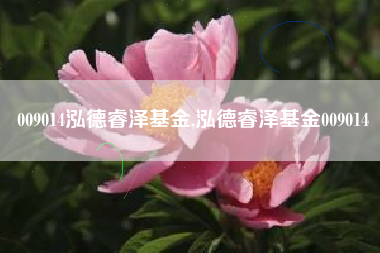 009014泓德睿泽基金,泓德睿泽基金009014