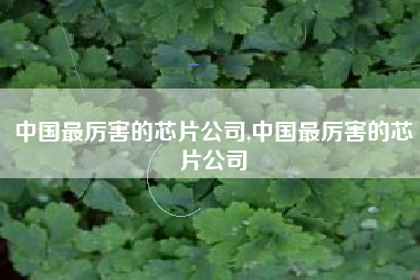 中国最厉害的芯片公司,中国最厉害的芯片公司