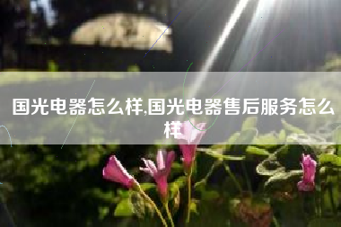 国光电器怎么样,国光电器售后服务怎么样