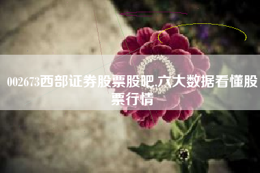 002673西部证券股票股吧,六大数据看懂股票行情