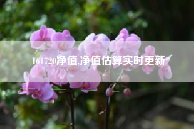 161720净值,净值估算实时更新