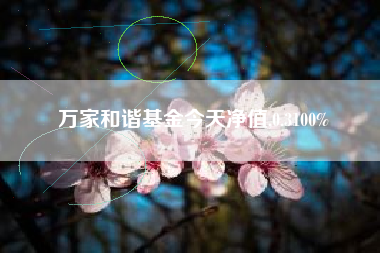 万家和谐基金今天净值,0.3100%