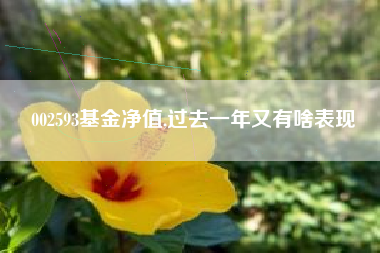 002593基金净值,过去一年又有啥表现