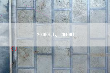 204001,1、204001
