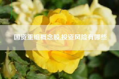 国资重组概念股,投资风险有哪些