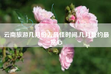 云南旅游几月份去最佳时间,几月赴约最赏心