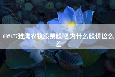 002477雏鹰农牧股票股吧,为什么股价这么差