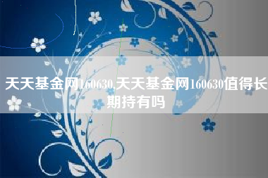 天天基金网160630,天天基金网160630值得长期持有吗