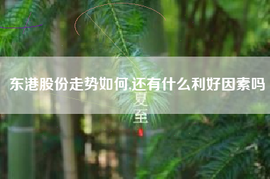 东港股份走势如何,还有什么利好因素吗