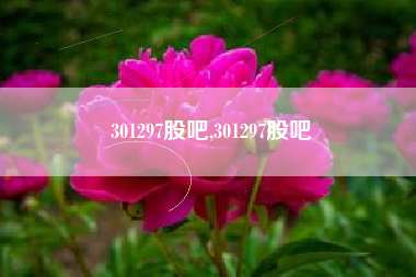 301297股吧,301297股吧