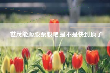 世茂能源股票股吧,是不是快到顶了