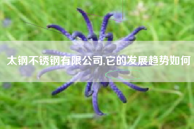 太钢不锈钢有限公司,它的发展趋势如何