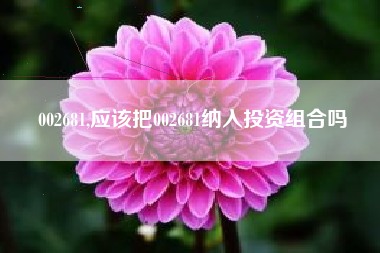 002681,应该把002681纳入投资组合吗