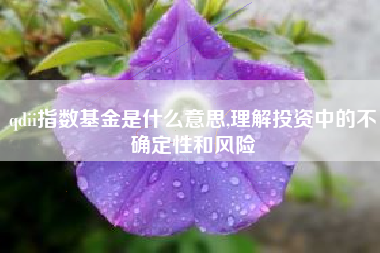 qdii指数基金是什么意思,理解投资中的不确定性和风险