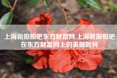 上海新阳股吧东方财富网,上海新阳股吧在东方财富网上的表现如何