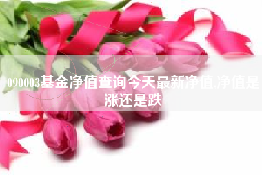 090003基金净值查询今天最新净值,净值是涨还是跌
