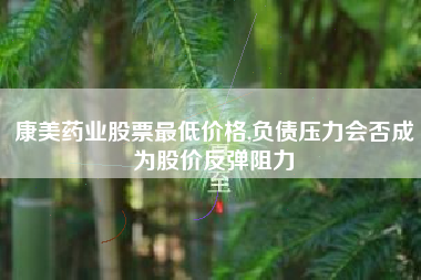康美药业股票最低价格,负债压力会否成为股价反弹阻力