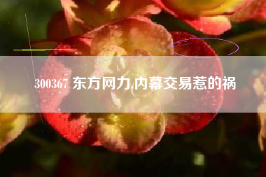 300367 东方网力,内幕交易惹的祸